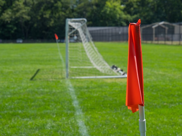 身體條件 身體條件