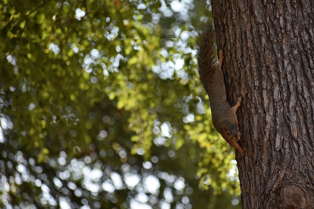 凯恩的每一 凯恩的每一