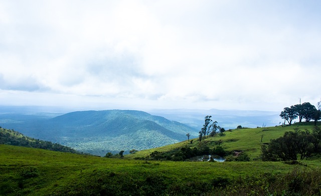 中国拳击队 中国拳击队
