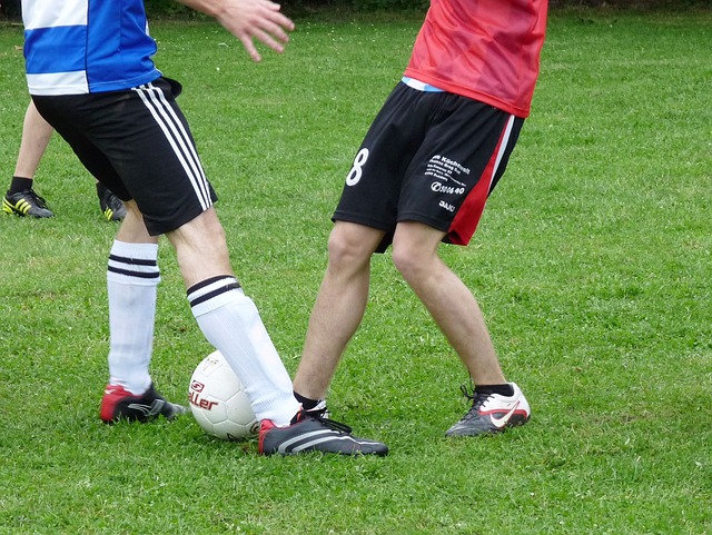 與其單純依 與其單純依